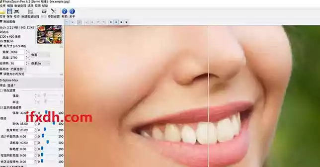 图片无损放大神器 PhotoZoom v8.2.0
