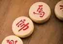 少年得到《0基础少年象棋课》41课时-奇趣日