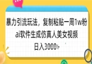 暴力引流玩法 /复制粘贴一周1w粉/AI软件生成仿真人美女视频/日入多张-奇趣日