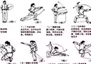 100部中华传统武术教程合集 全高清PDF-奇趣日
