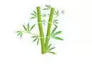 竹子下载：可下B站/推特/油管视频-奇趣日