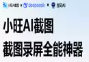 小旺AI截图v1.1.1单文件版 支持AI/OCR/识图/翻译-奇趣日