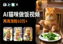 AI猫咪做菜视频手把手教学 两周涨粉10万-奇趣日